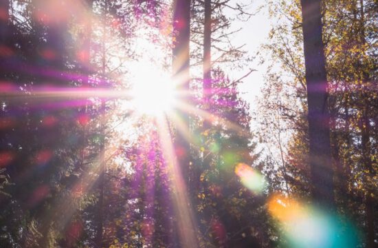 Het zonnetje schijnt weer in Nederland: dit zijn drie dingen die jij kunt doen tijdens het lekkere weer!